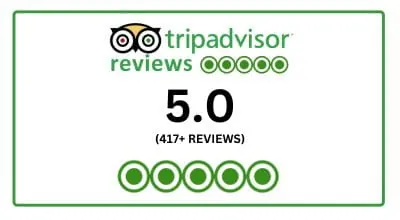 TripAdvisor Reviews