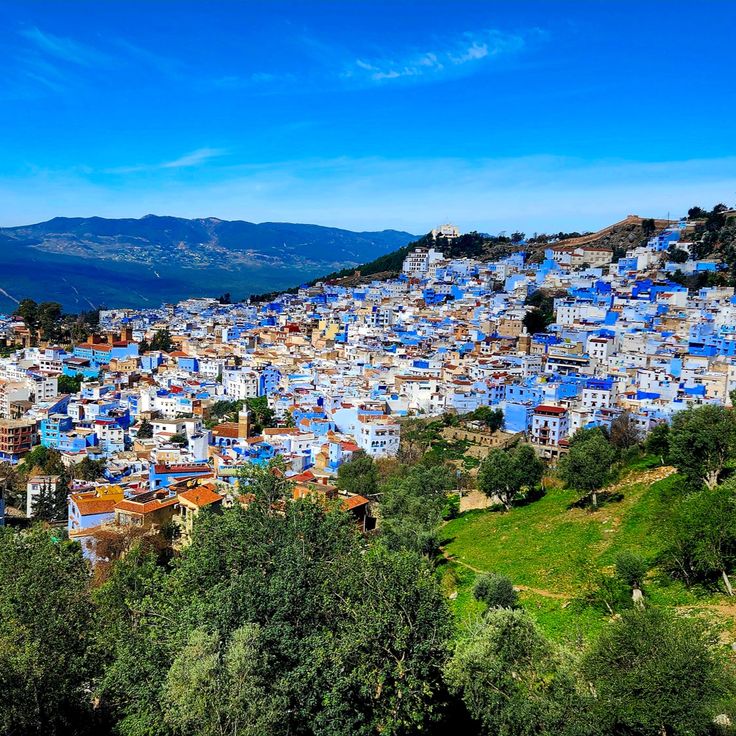 Taxi Arganier à Chefchaouen