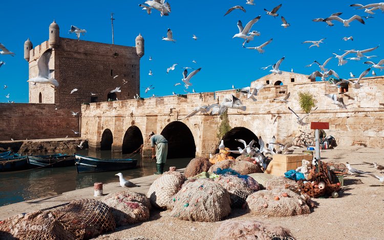 Taxi Arganier au départ de Essaouira