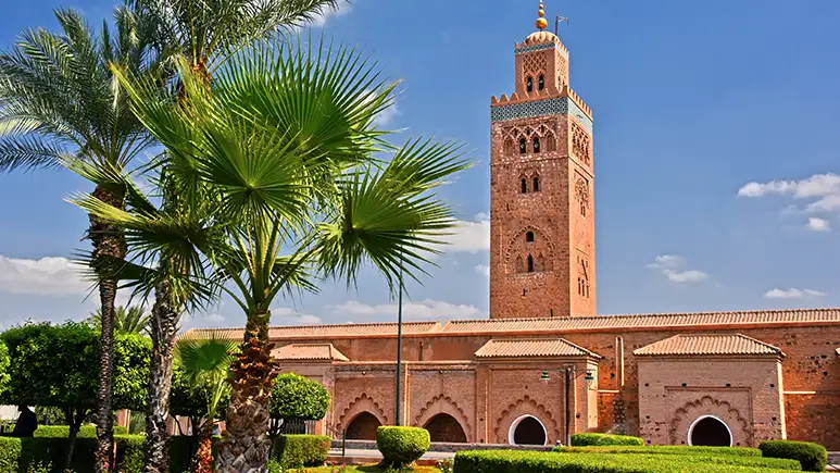 Taxi Arganier à Marrakech avec chauffeur dédié